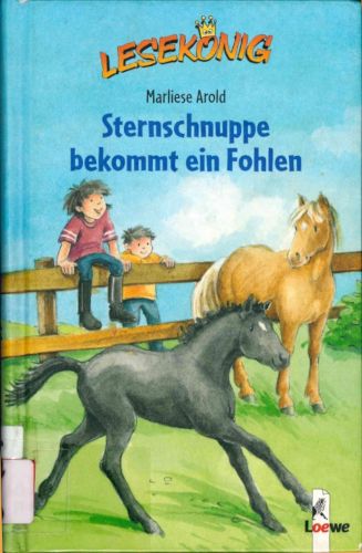 Titelbild Sternschnuppe bekommt ein Fohlen
