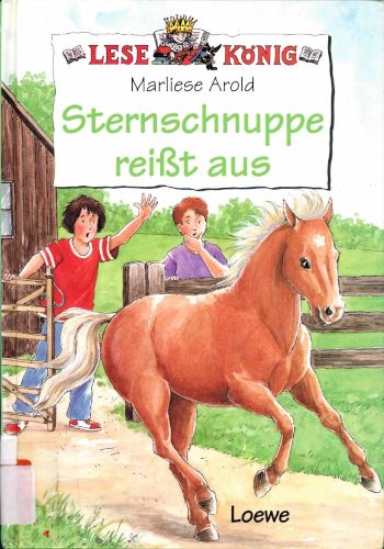 Titelbild Sternschnuppe reißt aus
