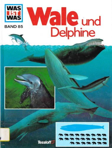 Wale und Delphine