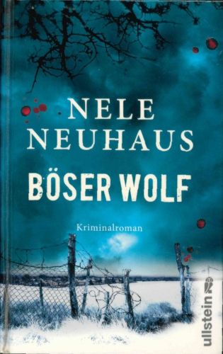 Titelbild Böser Wolf
